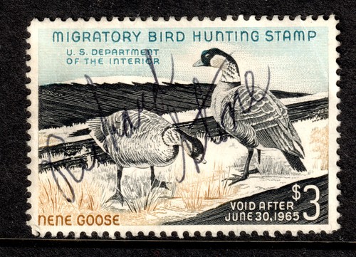 Rw31 1964 federal duck - us,