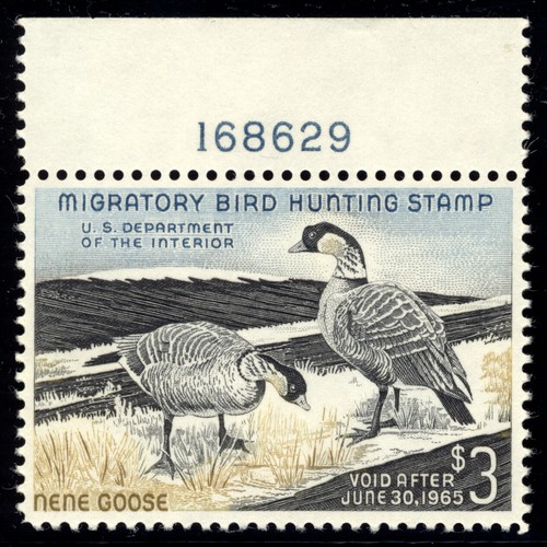 Rw31 hunting permit - hunting,