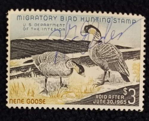 Federal hunting permit - permit, duck