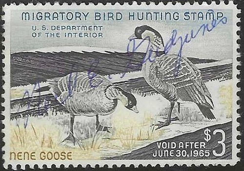 Rw31 3 hawaiian nene - hawaiian,
