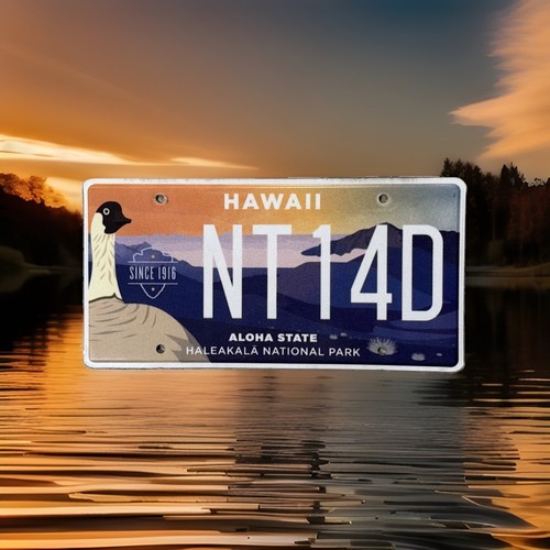Hawaii license plate - license, aloha