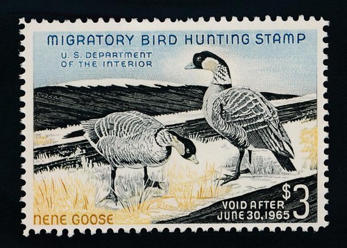 United states rw31 - states,