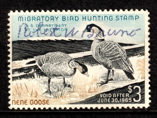Rw31 1964 federal duck - #rw31, us