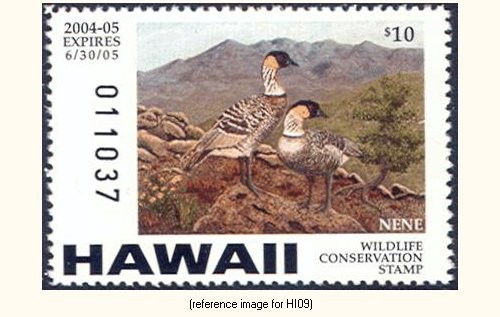 D2k hawaii duck - d2k,