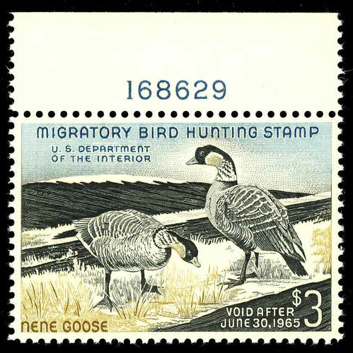 Rw31 3 hawaiian nene - hawaiian,