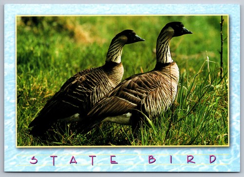 Vintage postcard hawaii state - vintage,