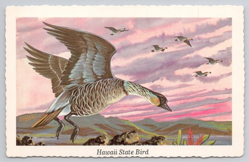 1968 hawaii state bird nene - 1968,